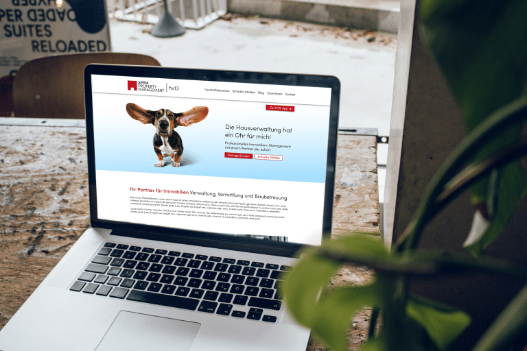 Ein Bild der HV13-Website